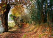 VTT   Randonnée d’Automne à Méreau