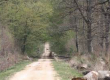VTT Challenge du Centre à Saint-Hilaire de Court