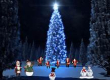 Marche  Randonnée des Sapins de Noël à Jouet sur l'Aubois