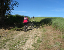 Bilan de la “Chapelloise VTT” organisée par l’A.L La CHAPELLE SAINT-URSIN dimanche 18 juin