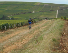 Participation en baisse lors de la 18ème édition du BOURGES-SANCERRE VTT