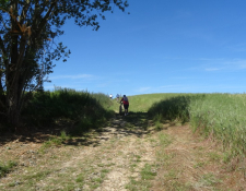 Bilan de la “Jouettoise verte VTT” organisée par les randonneurs JOUETTOIS dimanche 18 juin