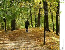 Déception à SAINT-AMAND MONTROND pour  la randonnée des écluses, Marche et VTT