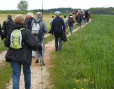 MARCHE Marche à Saint-Eloi de GY