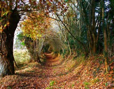 VTT Randonnée d’Automne à MEREAU