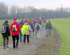 Randonnée des sous-bois et chemins creux à Vierzon