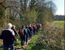 Saint-Caprais : La randonnée a attiré 386 marcheurs