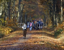 Randonnée pédestre de la R.A.M.Y. dimanche 11 février (après-midi) à BOURGNEUF