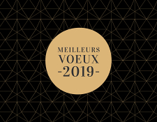 Voeux 2019