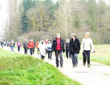 BILAN de la RANDONNEE des SOUS-BOIS et des CHEMINS CREUX à VIERZON