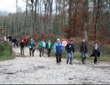 27ème Forestière à Vierzon : A pied et à VTT, une randonnée réussie