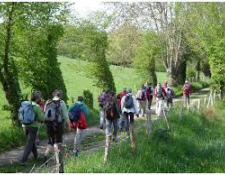  Participation en hausse à la randonnée des sous-bois et des chemins creux organisée par VIERZON Rando Loisirs