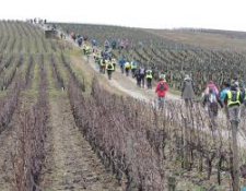 Les Marcheurs d’AUBIGNY Cyclotourisme – Marche – VTT à l’assaut du Piton Sancerrois