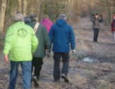 Marche : Bilan de la Randonnée des sous-bois et des chemins creux (VIERZON Rando Loisirs) :