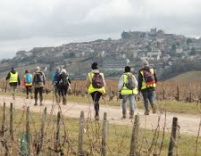 MARCHE  La petite Sancerroise